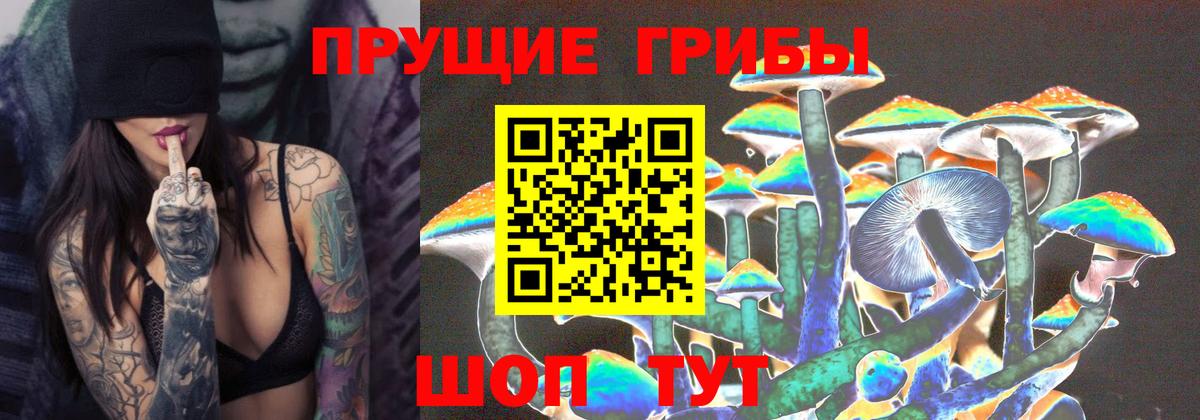 где купить   Вход с VPN  Псилоцибиновые грибы мицелий  Чехов  Псилоцибиновые грибы Magic Shrooms 