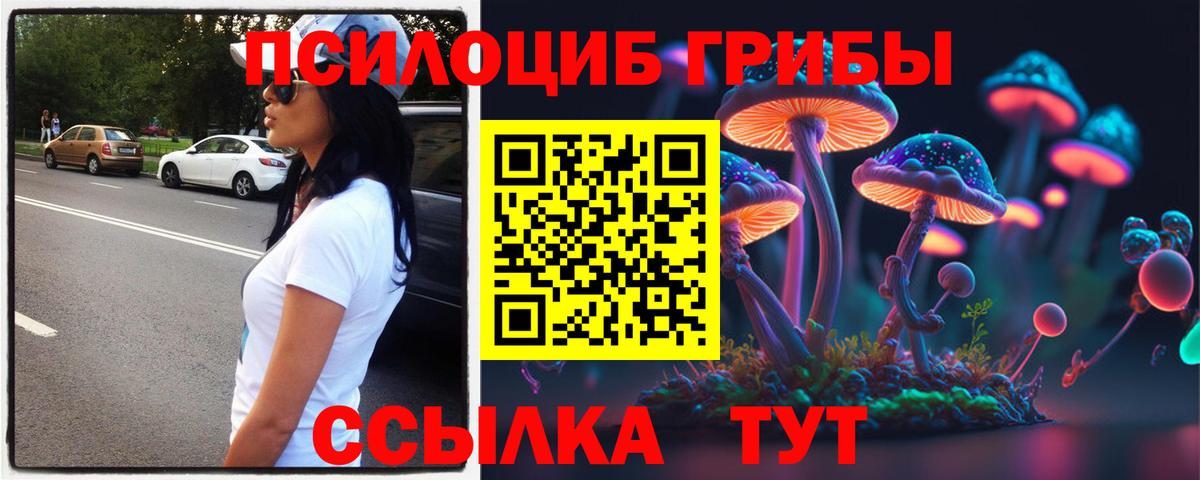 Галлюциногенные грибы прущие грибы Чехов