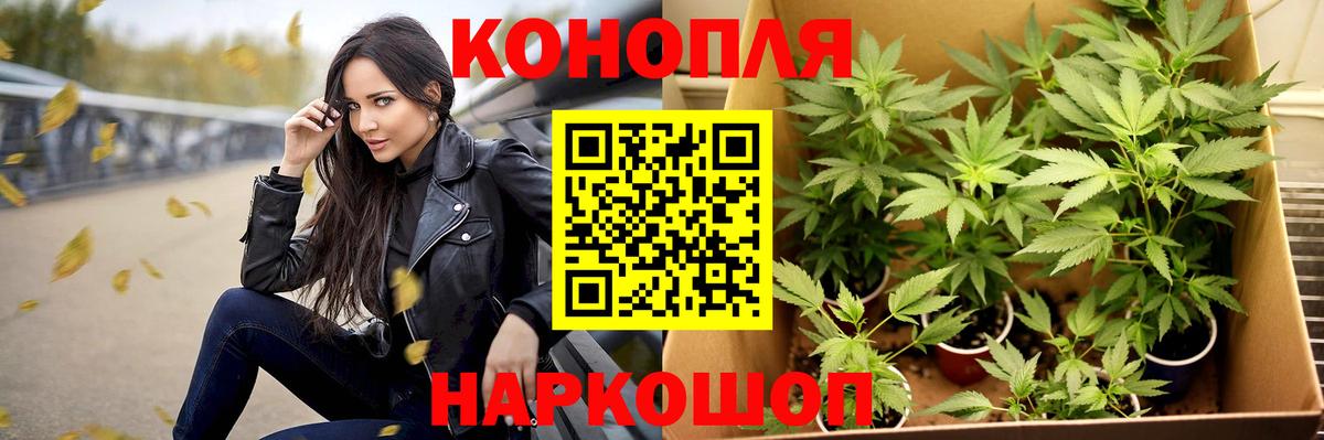 Чехов  Каннабис ГИДРОПОН  Марихуана VHQ  Бошки Шишки семена  Вход с VPN 